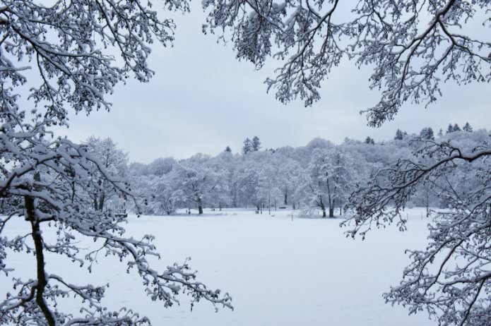 Зима в Стокгольме